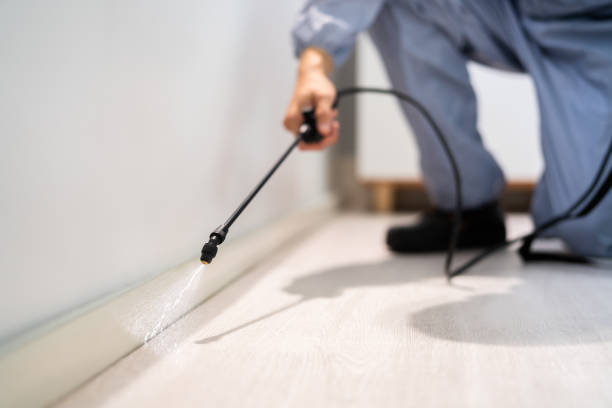 Licensed Wasp Removal service in Fond du Lac, WI - Show Me Pest Control