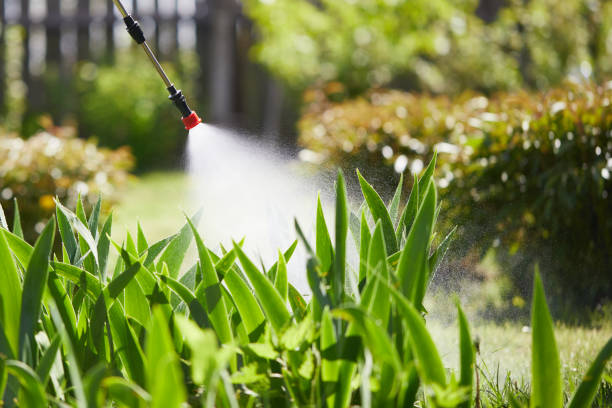 24/7 Emergency Wasp Removal experts in Fond du Lac, WI