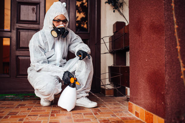 Reliable Wasp Removal contractor in Fond du Lac, WI by Show Me Pest Control