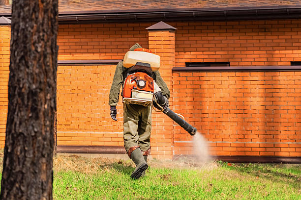 Top rated local Wasp Removal specialists in Fond du Lac, WI